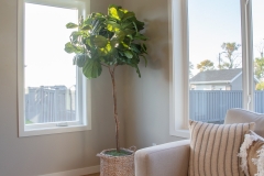 Seating area with plenty of natural light