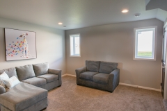 Entertainment room