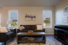 Living room windows