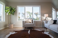 Living room windows